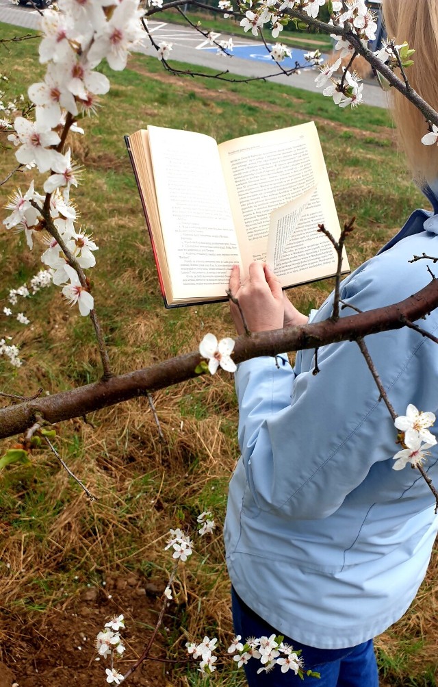 Powstała grupa internetowa„BIBLIOTERAPIA w Gminie Pruszcz Gdański