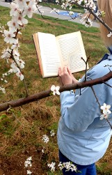 Powstała grupa internetowa „BIBLIOTERAPIA w Gminie Pruszcz Gdański”. Książki mają moc terapeutyczną