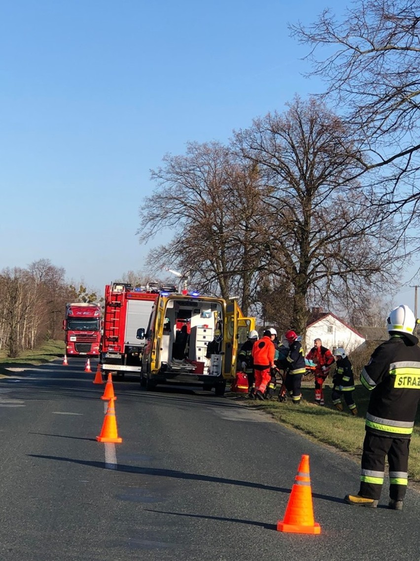 Samochód wjechał do przydomowego ogródka i uderzył w słup energetyczny. 50-latek trafił do szpitala we Włocławku [zdjęcia]