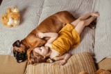 Śpisz z psem w jednym łóżku? Badania potwierdzają, że oboje możecie na tym skorzystać! Poznaj plusy i minusy spania z pupilem
