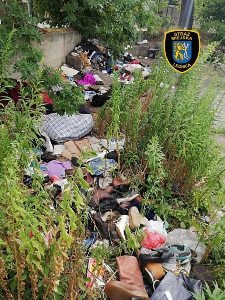 Dzikie wysypiska śmieci znikną? Urząd Miasta ogłosił przetarg na ich likwidację