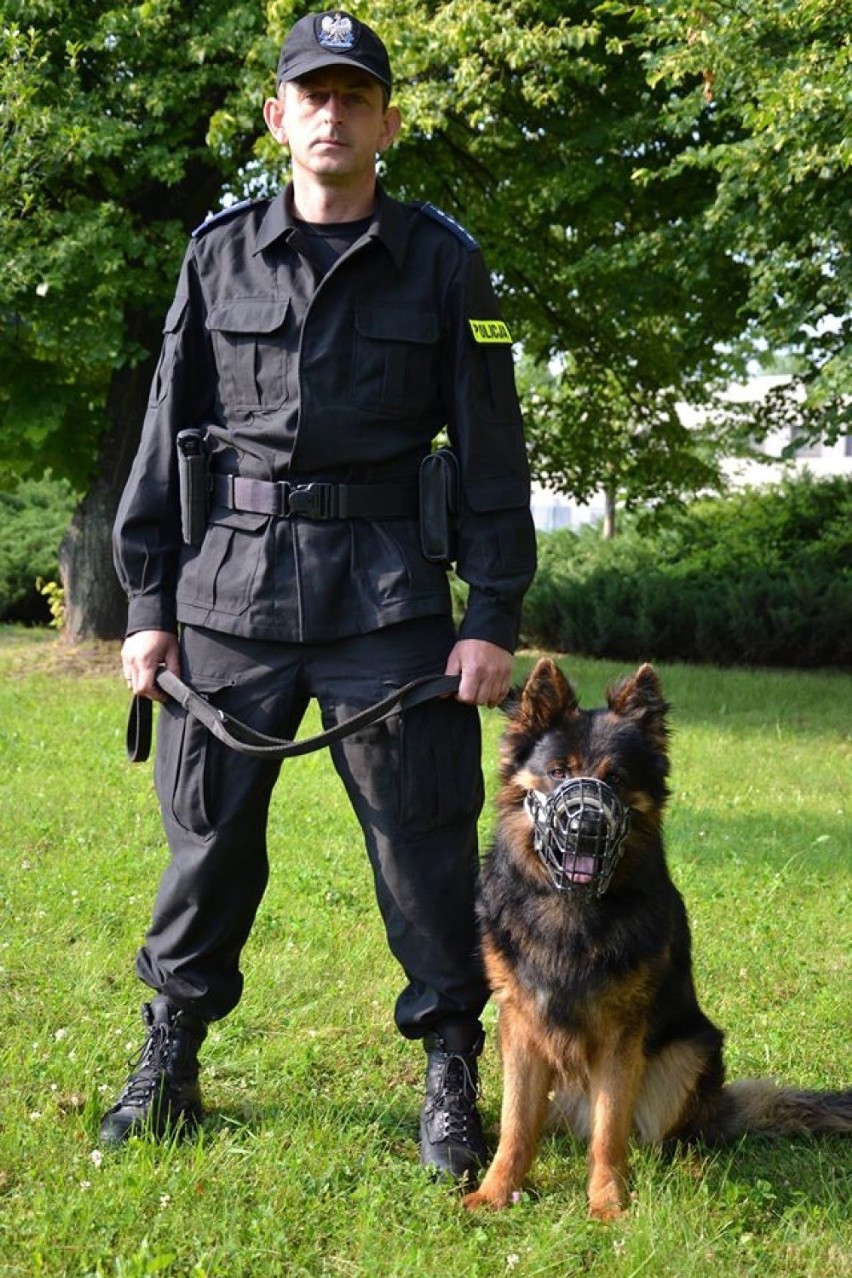Policjant z Krakowa najlepszym przewodnikiem psa patrolowo-tropiącego w Małopolsce
