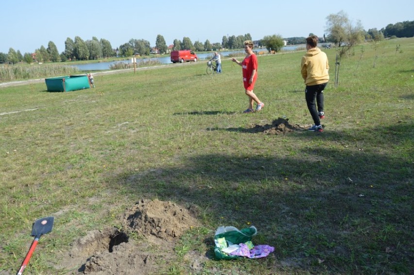 Las zduńskowolan jest coraz większy. Posadzonych zostało już...