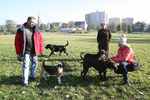 Wiesława Fijołek, Beata Jachimska i Zygmunt Dybała codziennie spacerują przy Floriańskiej ze swoimi psami