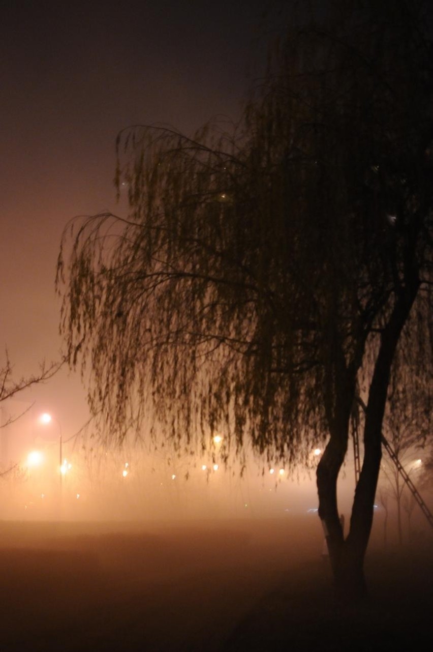 Śrem: mgła w Parku Ekologicznym im. Wł. Puchalskiego. Jesienna mgła w mieście [ZDJĘCIA]