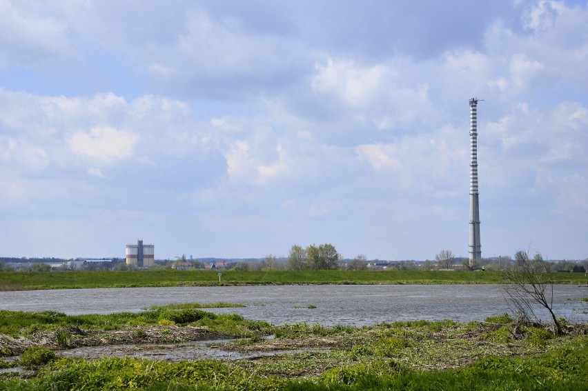 Zdjęcia terenów wokół Odry od strony Ostrowa Tumskiego i...