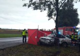 Tragedia w Czekanowie na trasie Grudziądz - Brodnica. Samochód uderzył w drzewo, jedna osoba zginęła [zdjęcia]