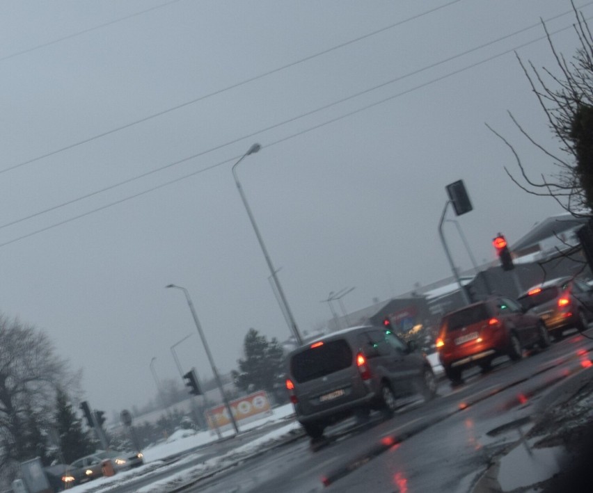 Śnieżyca na ulicach Zduńskiej Woli. Jak długo taka pogoda?