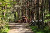 Wysoce zjadliwa grypa ptaków w Kampinoskim Parku Narodowym. Powiatowy lekarz weterynarii apeluje o zachowanie ostrożności