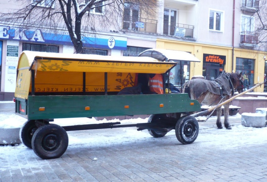 Koń i fura w mieście to przeżytek czy...