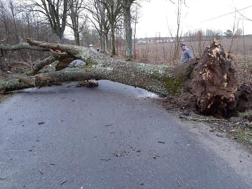 Główne działania straży pożarnej polegały przede wszystkim...