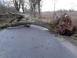 Skutki wichury w woj. śląskim: brak prądu, zatrzymane pociągi i uszkodzone domy ZDJĘCIA