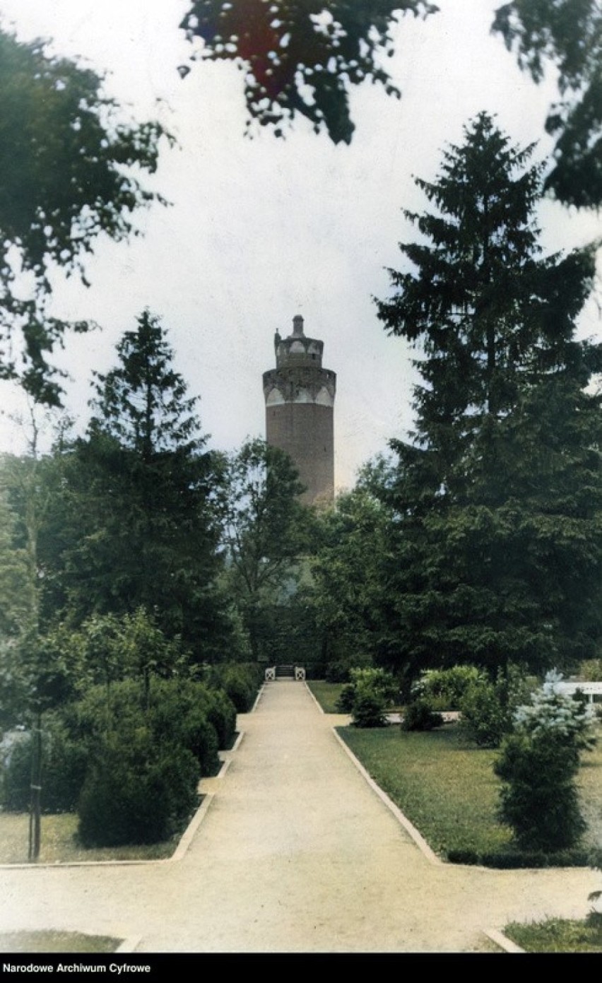 Wieża Zamkowa, widok od strony parku