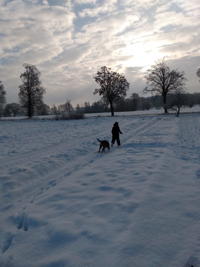 Zima 2021 w Pleszewie. Dzieci szaleją na śniegu. Długo czekały na taką zimę