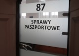 Kolejki po paszport w Szczecinie. Urząd przeżywa oblężenie. Dwa razy więcej wniosków w ciągu miesiąca