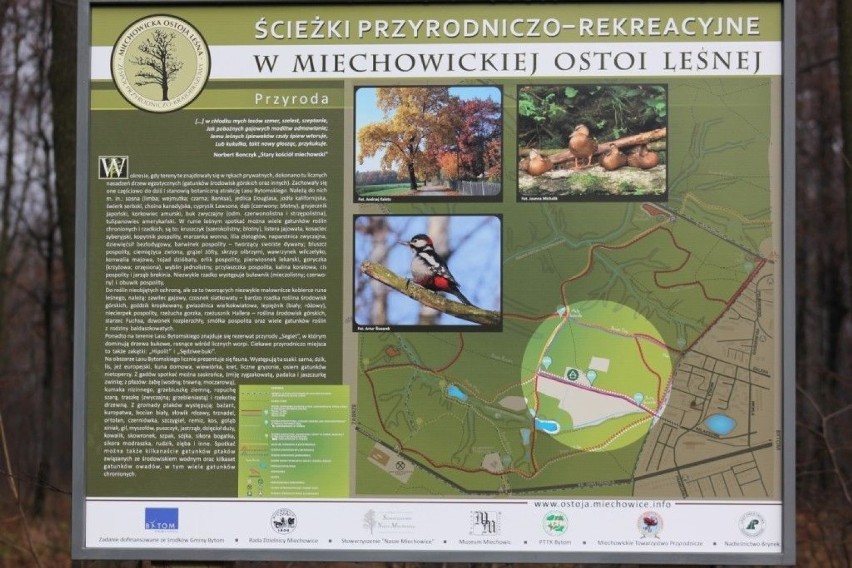 Miechowicka Ostoja Leśna wchodzi w skład Lasu...