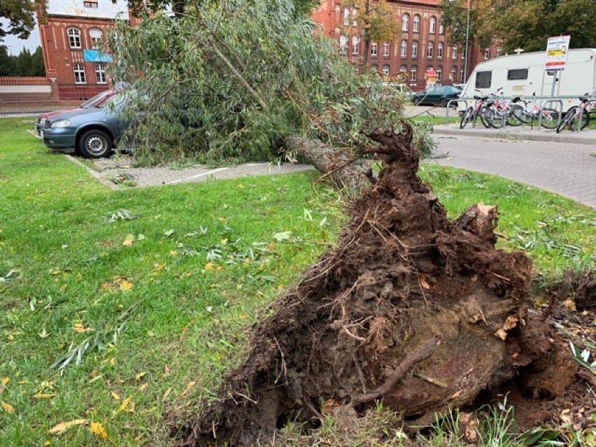 Służby naprawiają szkody wyrządzone przez silny wiatr! (AKTUALIZACJA)  