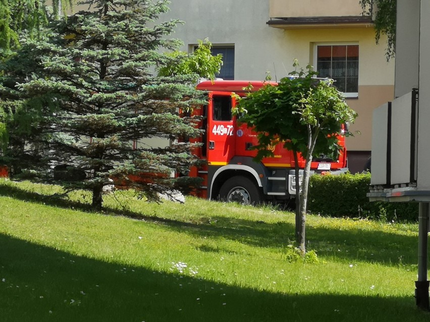 Akcja straży pożarnej w bloku w Radzyniu Chełmińskim [zdjęcia]