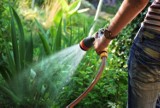 Jeśli podlejesz ogród, to odetną ci wodę