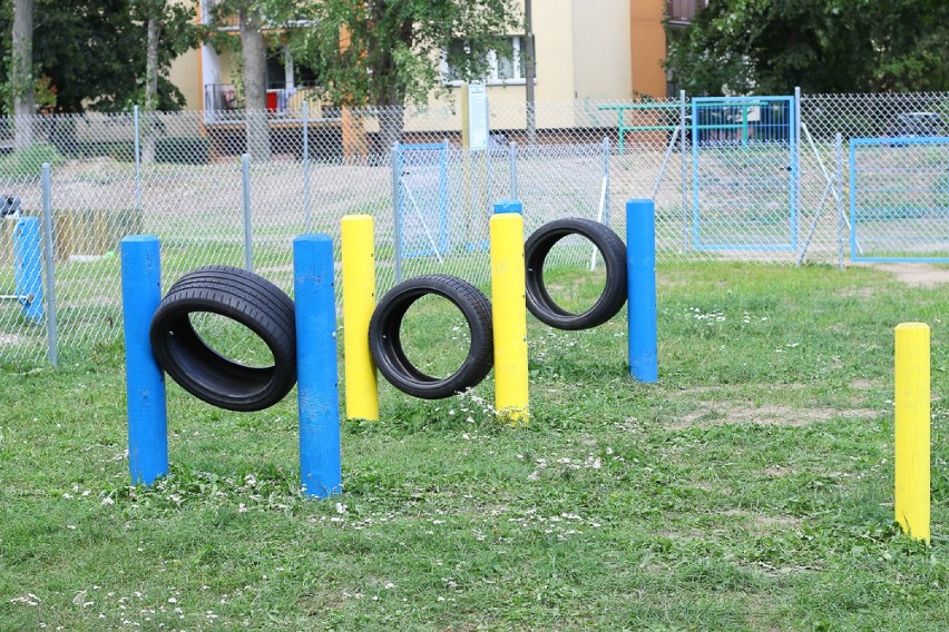 Place zabaw dla psów Mokotowie. Zobaczcie, gdzie zabrać...