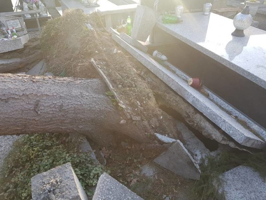 Nowy Sącz. Wiatr powalił drzewo na nagrobki. Konieczna była interwencja strażaków