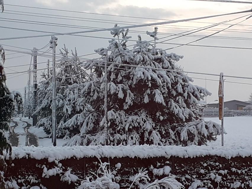 Zobaczcie, jak pięknie wygląda nasz region w pierwszym śniegu