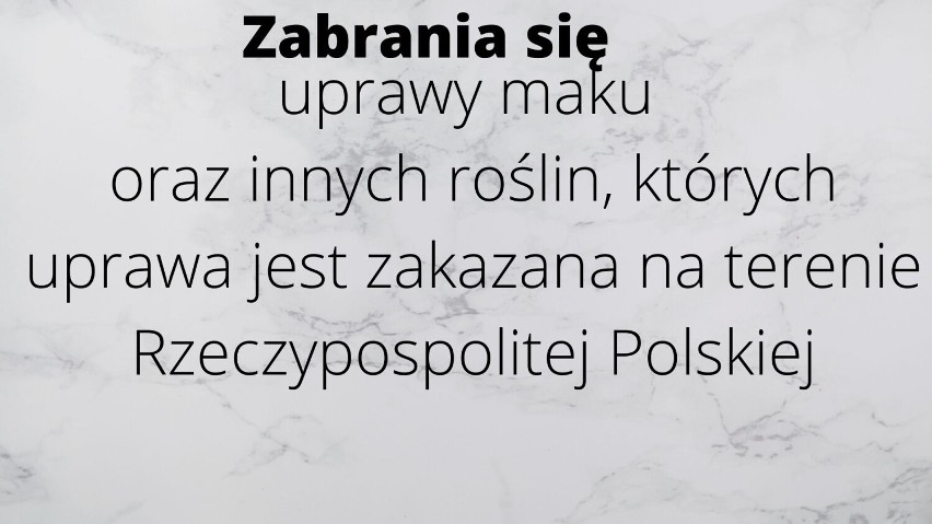 Tego nie wolno robić na działkach ROD. To zabrania regulamin [zdjęcia]