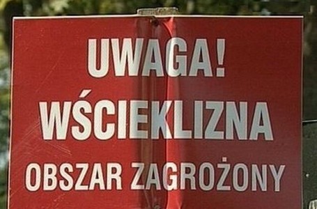 Uwaga na wściekliznę w Mielcu