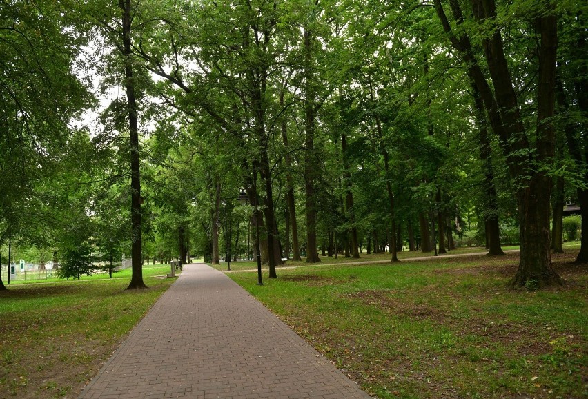 Park Leśniczówka w Radomiu to doskonałe miejsce na rodzinne spacery w centrum miasta. (Zdjęcia)