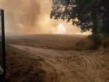 Pożar na polu w Zamartem strawił ponad 20 hektarów. Policjanci ewakuowali ludzi