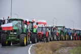 Strajk rolników 2024 w Żninie. 96 ciągników i 50 samochodów protestowało przy S5. Zobacz zdjęcia 