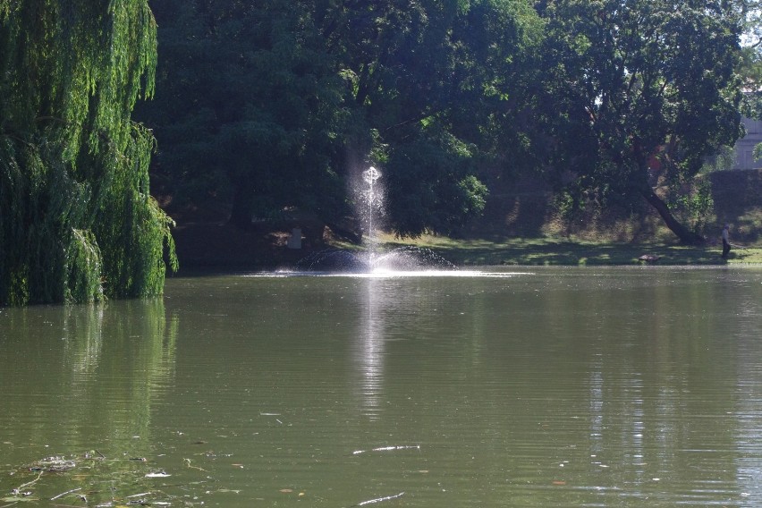 Są już fontanny w Parku Miejskim w Zamościu!