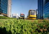 Kolejne zielone tory w Warszawie. Wkrótce ruszą prace na terenie czterech ulic. Ich koszt wyniesie 6,5 mln złotych 