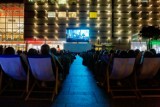 Kina letnie w polskich miastach. Gdzie obejrzysz kinowe hity na świeżym powietrzu?