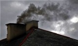 Radomsko: Petycja dotycząca walki ze smogiem zasadna. Będzie ankieta ws. powołania straży miejskiej