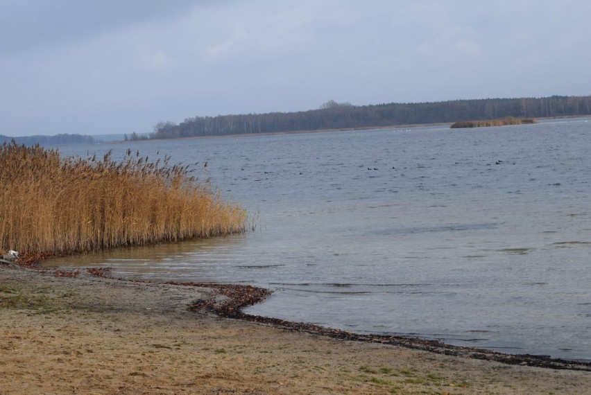Wody w Jeziorze Powidzkim ubywa. Tak źle jeszcze nie było [FOTO]