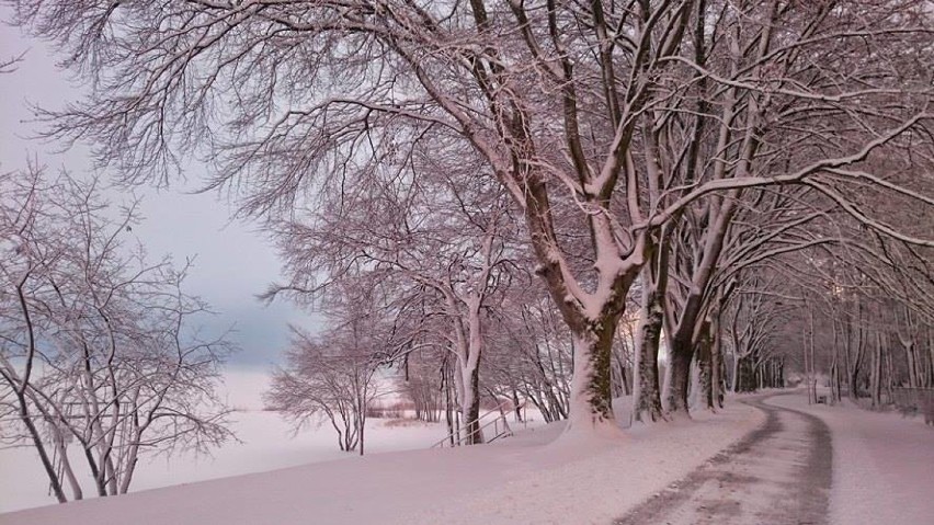 Zima 2016 w Pucku