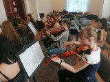 Szkoła muzyczna w Zielonej Górze zaprasza do nauki. Szeroki wybór instrumentów. Jak przebiega nabór?