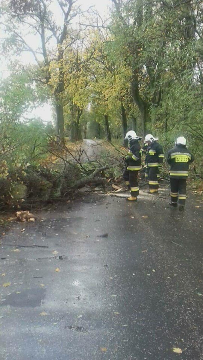 Orkan Grzegorz w gminie Rakoniewice