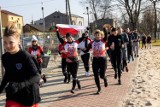 Bieg dla Polski, Bieg dla Igora w Jędrzejowie. Mieszkańcy aktywnie i charytatywnie świętowali Niepodległość (ZDJĘCIA)