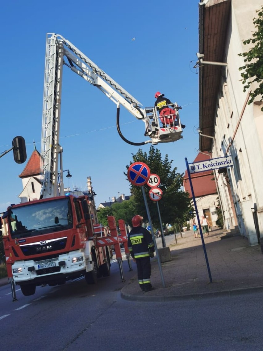 Dzięki akcji kartuskich strażaków mewa będzie mogła nadal bezpiecznie latać