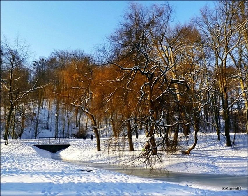 Zima w Parku Oruńskim