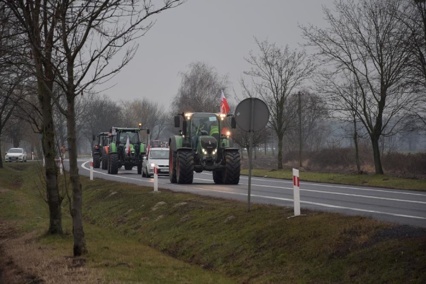 Protest rolniczy. Kolumna ciągników rolniczych przez 3 godziny jeździła po drodze nr 11 (ZDJĘCIA)