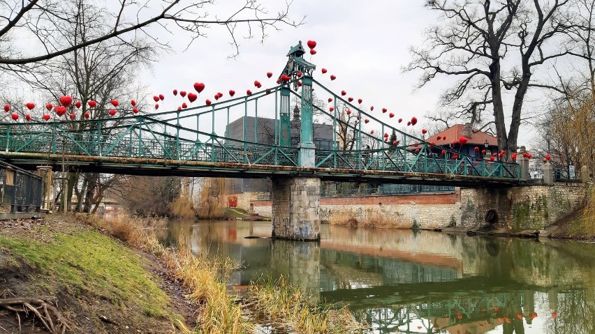 Walentynki 2020 w Opolu. Most Groszowy i pomniki ozdobione...