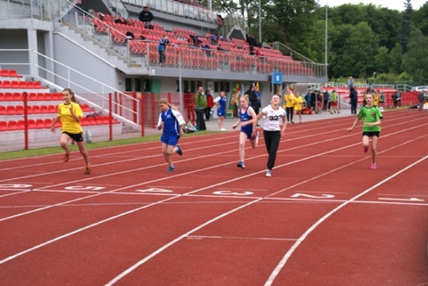 Lekkoatleci rywalizowali na stadionie w Inowrocławiu...