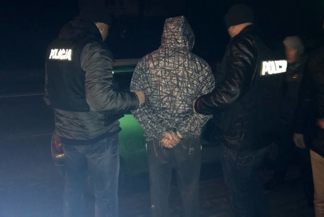 Kryminalni z Komendy Wojewódzkiej Policji w Bydgoszczy wspólnie z policjantami z bydgoskiego Fordonu, po krótkim pościgu ulicami miasta zatrzymali 26-letniego handlarza narkotyków. Miał przy sobie pół kilograma marihuany i kilkadziesiąt dekagramów białego proszku, a resztę w domu. Inny handlarz wpadł w Ostromecku. Przewoził kilogram "trawy".

Pracujący nad sprawą policjanci z Komendy Wojewódzkiej Policji w Bydgoszczy, dzięki zebranym informacjom wytypowali 26-latka, który miał być zamieszany w handel narkotykami. Wspólnie z policjantami z bydgoskiego Fordonu, funkcjonariusze namierzyli podejrzanego jadącego samochodem ulicami miasta. Z początku mężczyzna próbował uniknąć zatrzymania, jednak policjanci zajechali mu drogę w sposób uniemożliwiający dalszą ucieczkę. Do zatrzymania doszło w tym tygodniu. 
-&nbsp;Powiedzmy, że doszło do "delikatnego" pościgu. Po prostu podejrzany nie zatrzymał się do kontroli i próbował jechać dalej. Ale byliśmy na to przygotowani. Policjanci sprawnie zajechali mu drogę - powiedział nam aspirant Piotr Duziak z Zespołu Prasowego KWP w Bydgoszczy. 

Podejrzenia policjantów potwierdziły się. 26-letni mieszkaniec Fordonu przewoził w samochodzie prawie 0,5kg marihuany i ponad 300g białego proszku. Ponadto, w trakcie przeszukania jego mieszkania ujawniono dodatkowo ponad 100g marihuany i 2g białego proszku. Mężczyzna został zatrzymany i trafił przed oblicze prokuratora, który przedstawił mu zarzut posiadania znacznej ilości narkotyków. Decyzją sądu 26-latek został aresztowany na 2 miesiące. Grozi mu do 10 lat pozbawienia wolności. 

Do ujawnienia podobnego przestępstwa doszło w ubiegłym tygodniu. Dzięki zebranym informacjom, policjanci z Komendy Wojewódzkiej Policji w Bydgoszczy wytypowali 31-letniego mieszkańca Dąbrowy Chełmińskiej, który mógł handlować narkotykami. Wspólnie z funkcjonariuszami z Fordonu zatrzymali podejrzanego jadącego samochodem w Ostromecku. Przewoził ponad 1kg marihuany i prawie 900g innych środków farmaceutycznych. 31-latek już usłyszał zarzut posiadania znacznej ilości narkotyków i handlu nimi. Decyzją sądu trafił do aresztu na 3 miesiące. Grozi mu do 12 lat pozbawienia wolności. 


INFO Z POLSKI odc.21 - przegląd najciekawszych informacji ostatnich dni w kraju.

