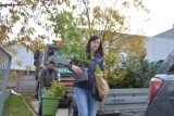 Akcja "Drzewko za makulaturę" już wkrótce w Bełchatowie