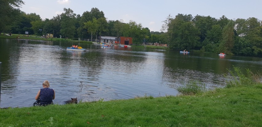 Chociaż lato trwa, za oknem aura jak w listopadzie. Chłodny...