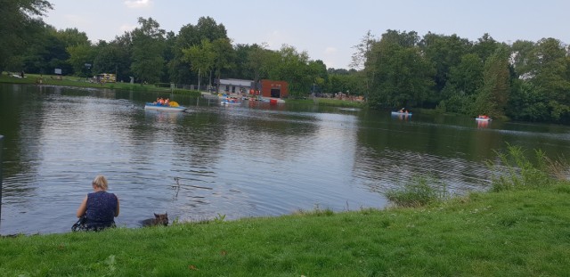 Chociaż lato trwa, za oknem aura jak w listopadzie. Chłodny sierpień z zachmurzonym niebem, padającym przez kilkanaście godzin deszczem, nie zdarza się często.