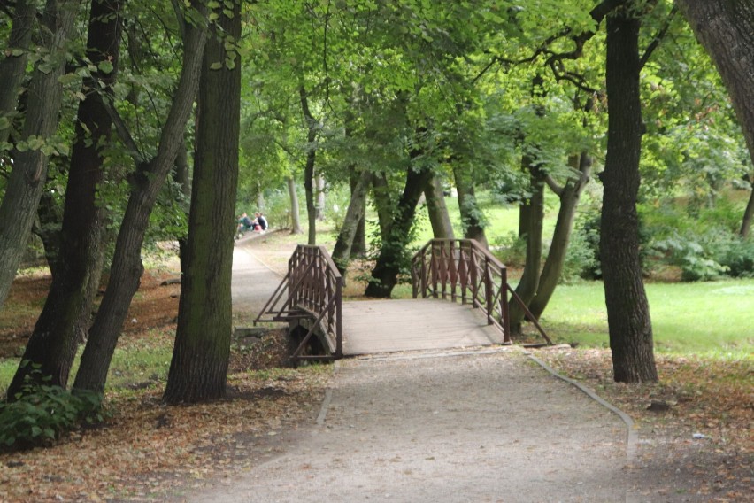 Park Miejski w Gnieźnie. Nadchodząca jesień na terenach...